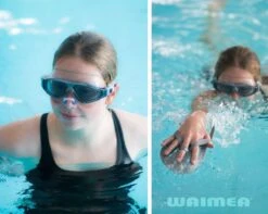 Waimea Zwem Neusklem - Transparant/Kobalt -Watersporten Winkel 1200x956 2